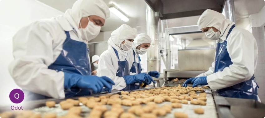 FSSC 22000 food safety consultant reviewing HACCP controls, factory hygiene and product traceability in a Pakistan food facility.